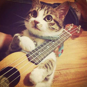 美女全婐体无遮挡正面
